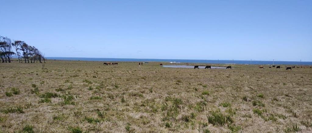 Venta Terreno Oceanico Rocha Pueblo Nuevo Proximo La Pedrer