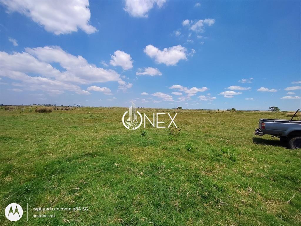 Oportunidad Venta de Campo agricola ganadero 576