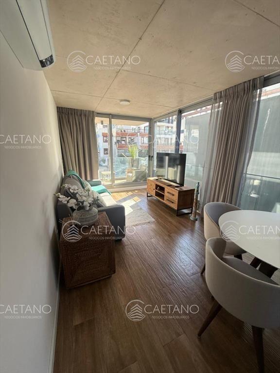 Alquiler temporal apartamento 1 dormitorio. Punta