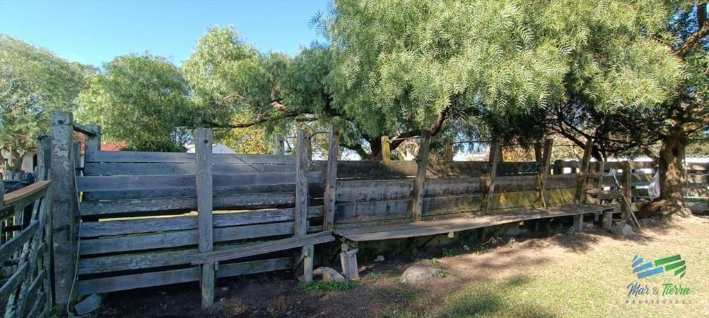 Muy buen campo mixto Ganadero-Forestal de 690 Has