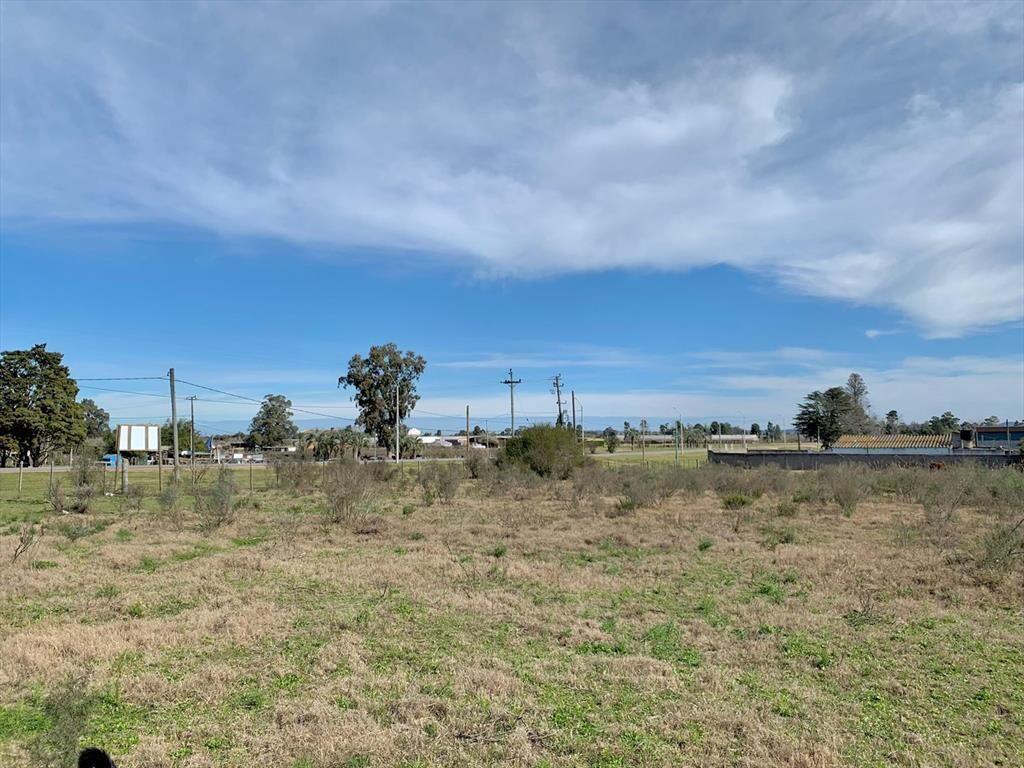 VENTA TERRENO DE 1.27 HECTAREAS EN SAN CARLOS
