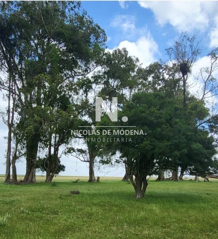 En venta campo en Treinta y Tres, ubicado a 12 de