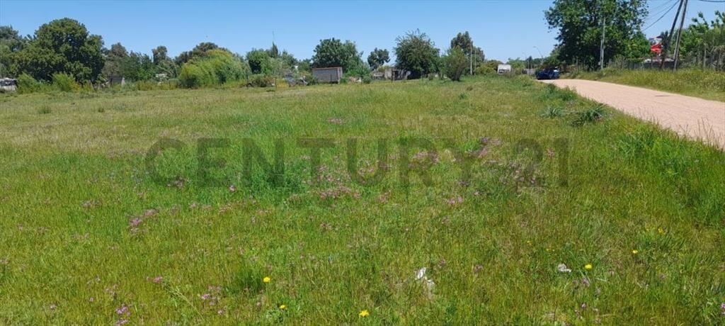 VENTA/Monoambiente En Terreno de 538 m2/Ruta 1 k 29/Ciud...