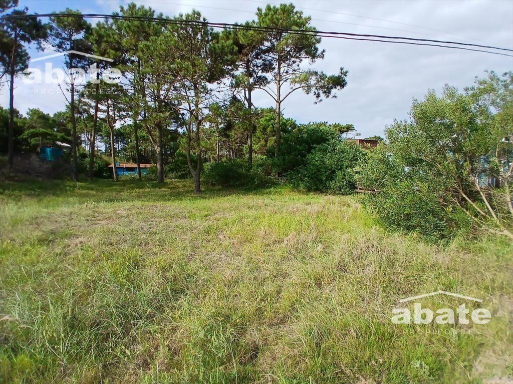 Venta Terreno en Punta del Diablo