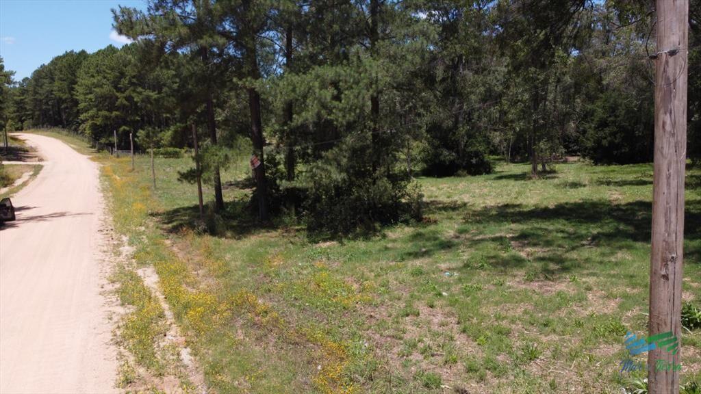 En venta chacra de 1 hectarea en Laguna del Punta