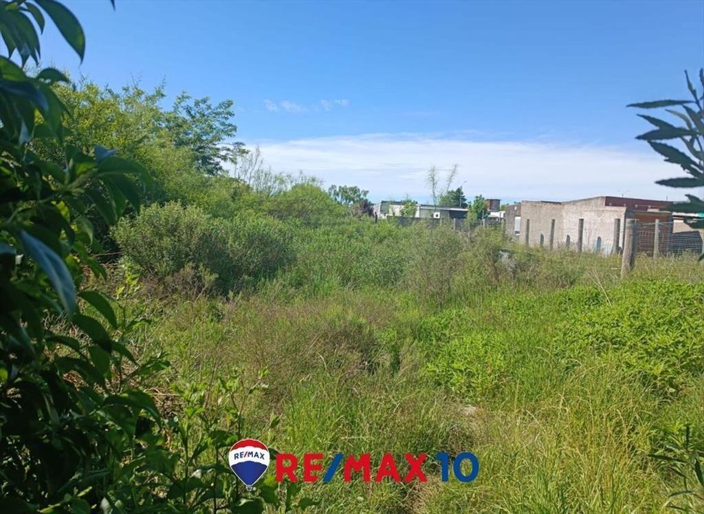 Terreno con Mejoras
