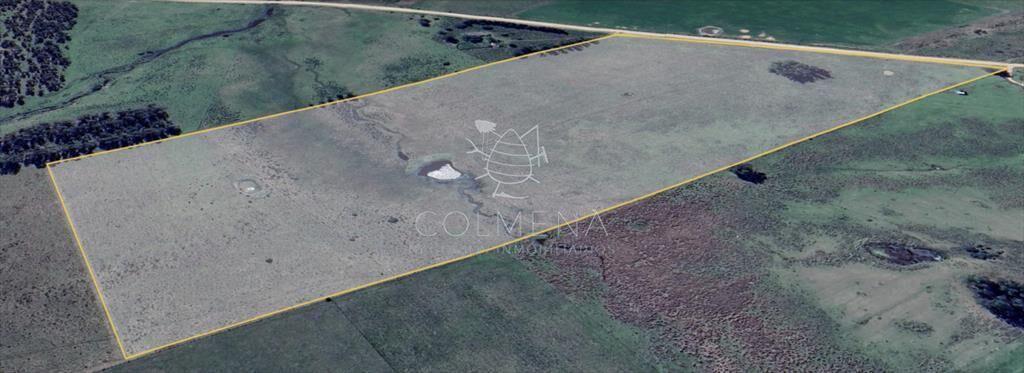 Campo de 12 has 957 m2 en Paraje Partido Norte