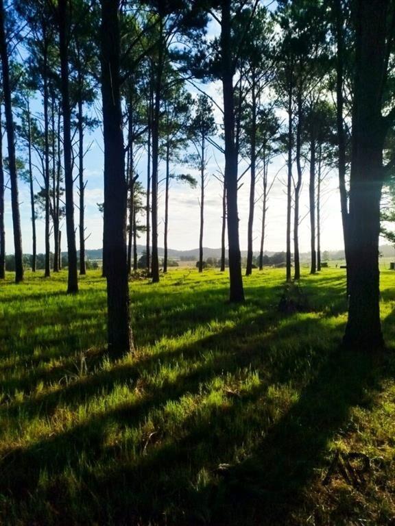 Chacra en venta de 7m2 ubicado en Abra de Perdomo