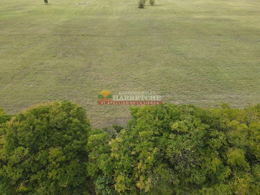 Terreno en Progreso, 360 m2 en Jardín de los (4)