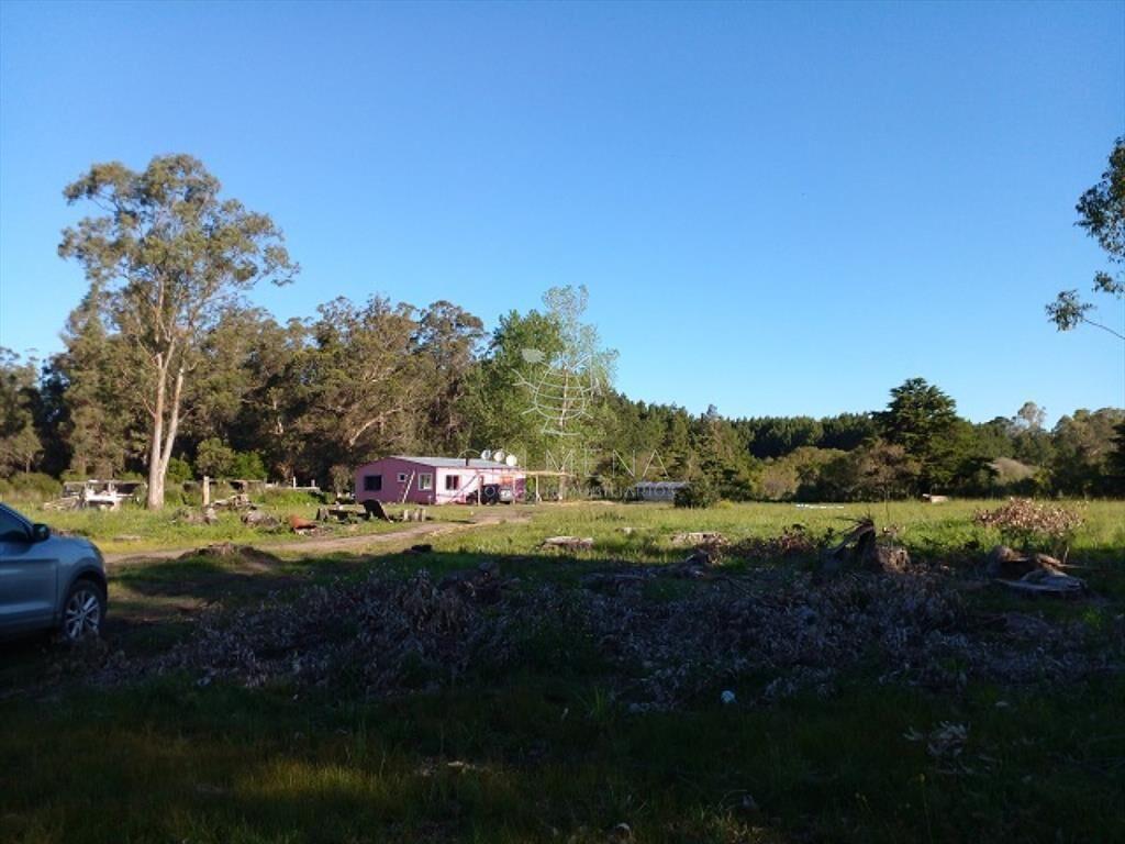 Chacra en La Pataia