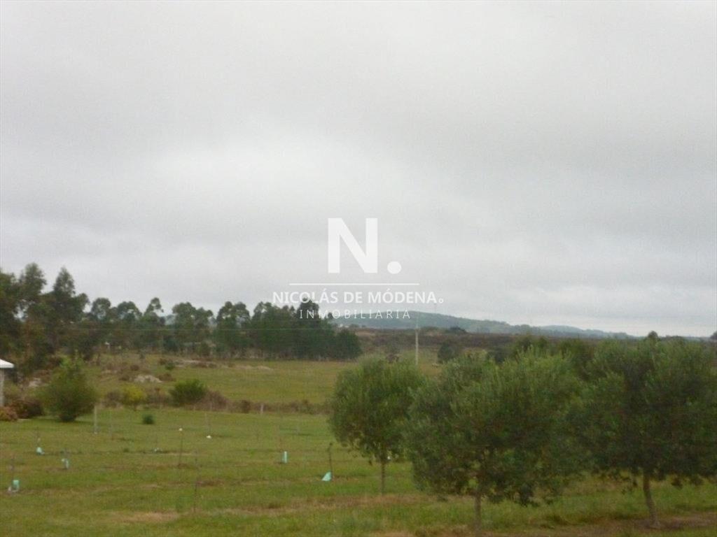 HERMOSA CHACRA CON PRODUCCION DE OLIVOS