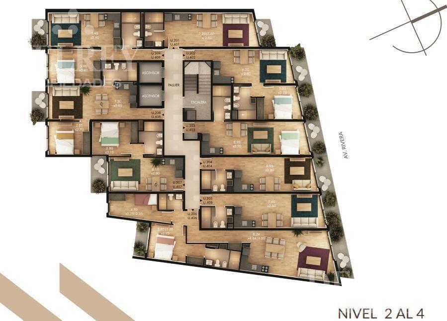 Departamento - Buceo