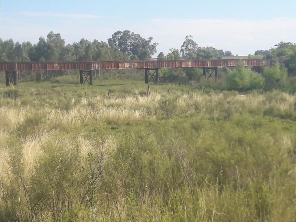 AL1086/P venta campo 53 hectareas en Estacion Solis Minas La