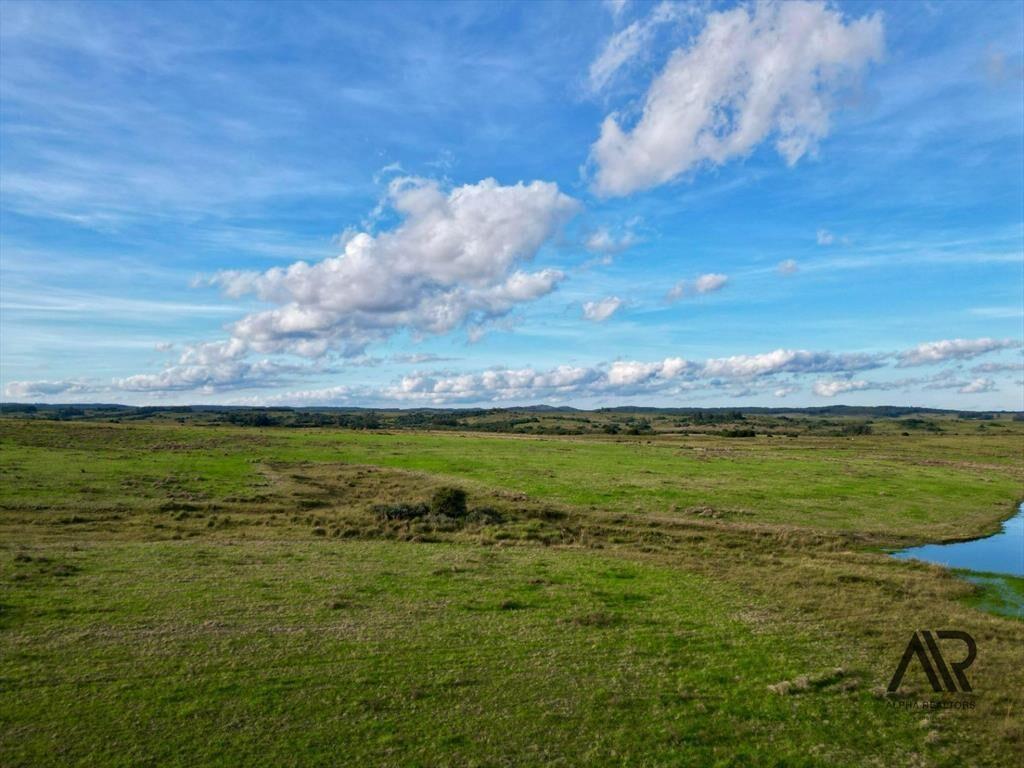 Chacras de 3ha/60 ha en Garzón, con caminería y luz en l...