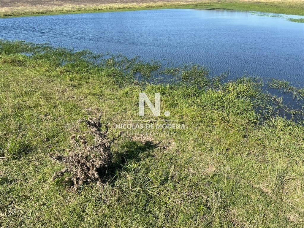 Campo en venta en hermosa zona