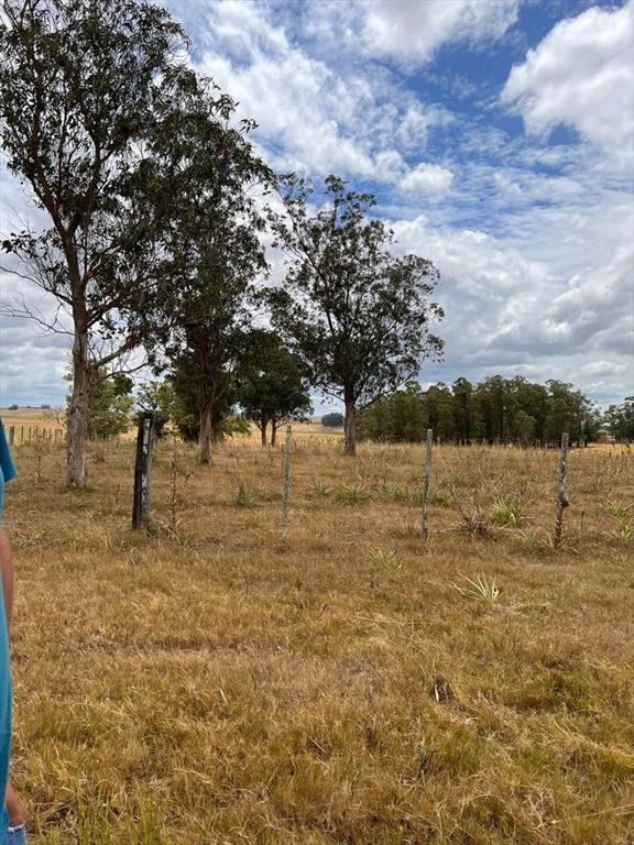 Chacra de 10 ha en venta en Garzón a 15 minutos de José Ign