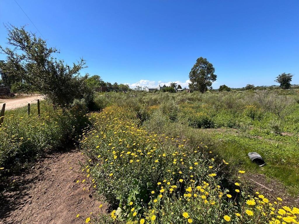 VENTA DE TERRENO SAN CARLOS MALDONADO