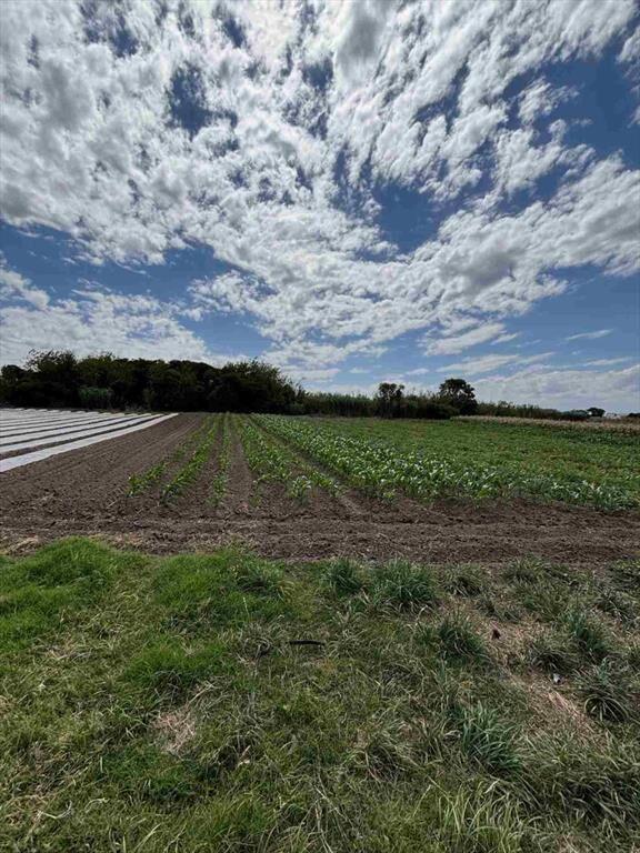 VENTA DE CHACRA DE 11 HECTÁREAS ZONA PAJAS BLANCAS