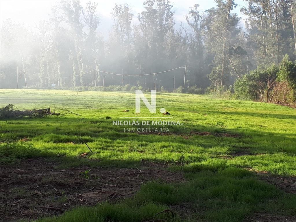 En venta hermoso terreno en Punta del Este.