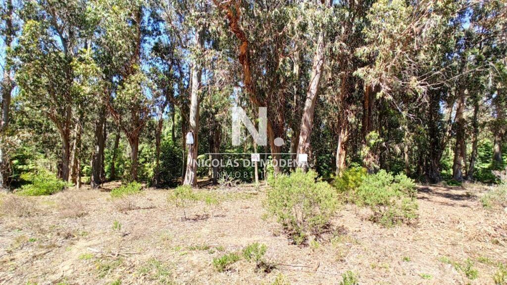 Terreno en Parque Burnett - Maldonado. Ref. 4285