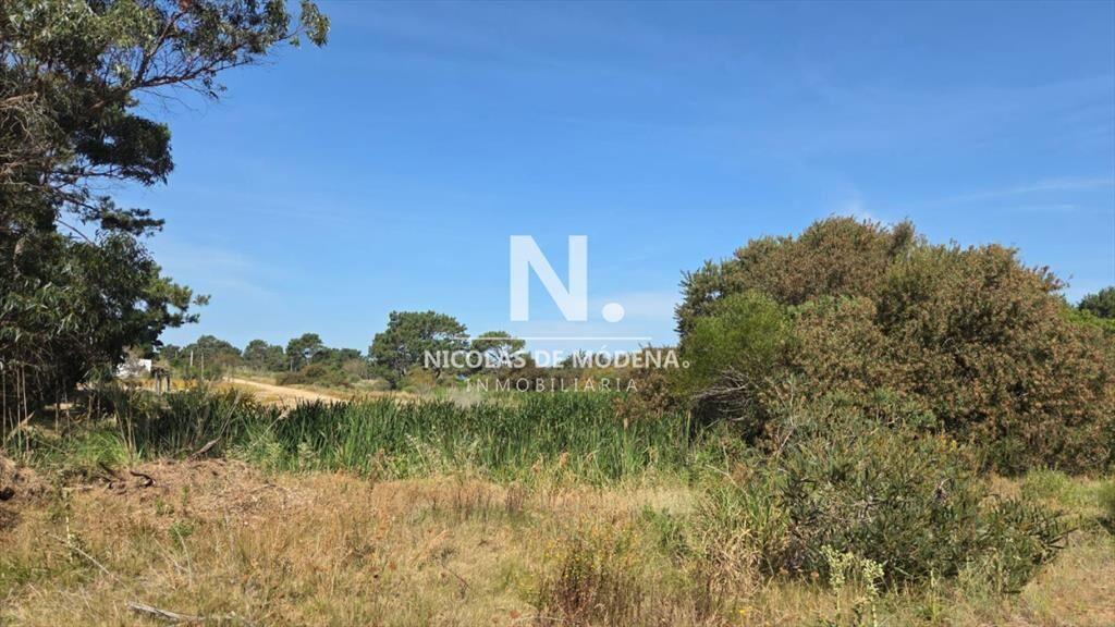 Vende terreno de 4223 m2 en Jose Ignacio