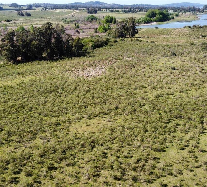 Venta Campo 17 ha sobre la Laguna del Sauce Punta del Este