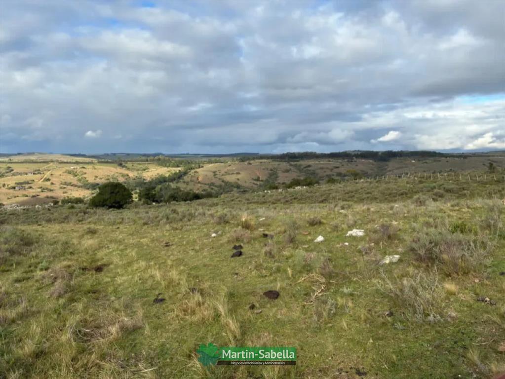 Campo en Venta - Lavalleja