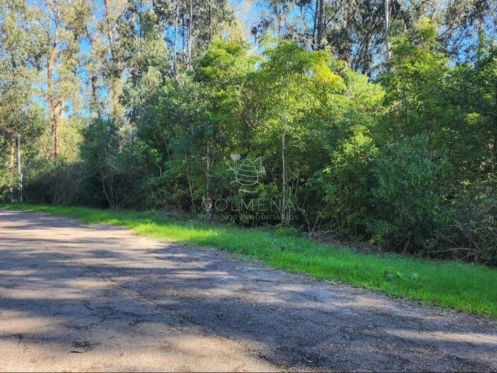 Terreno de 4226 m2, en Las Cumbres- Punta