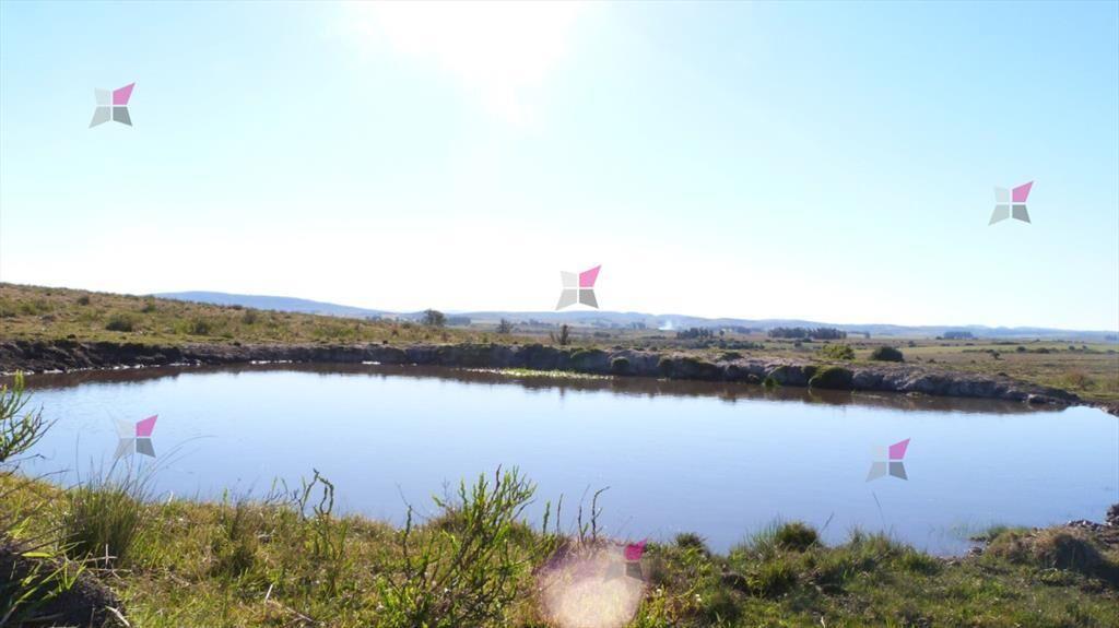 VENTA CHACRA POR RUTA 39 SAN CARLOS