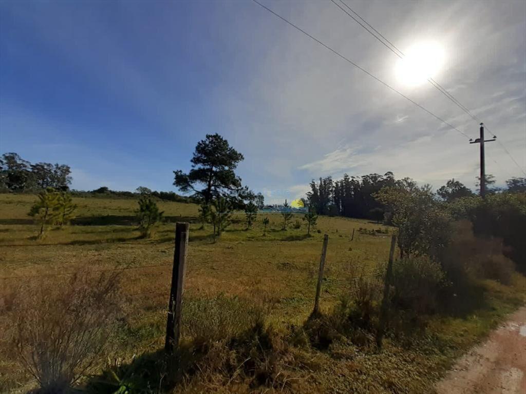 Ideal para descansar o vivir a pasos de todo