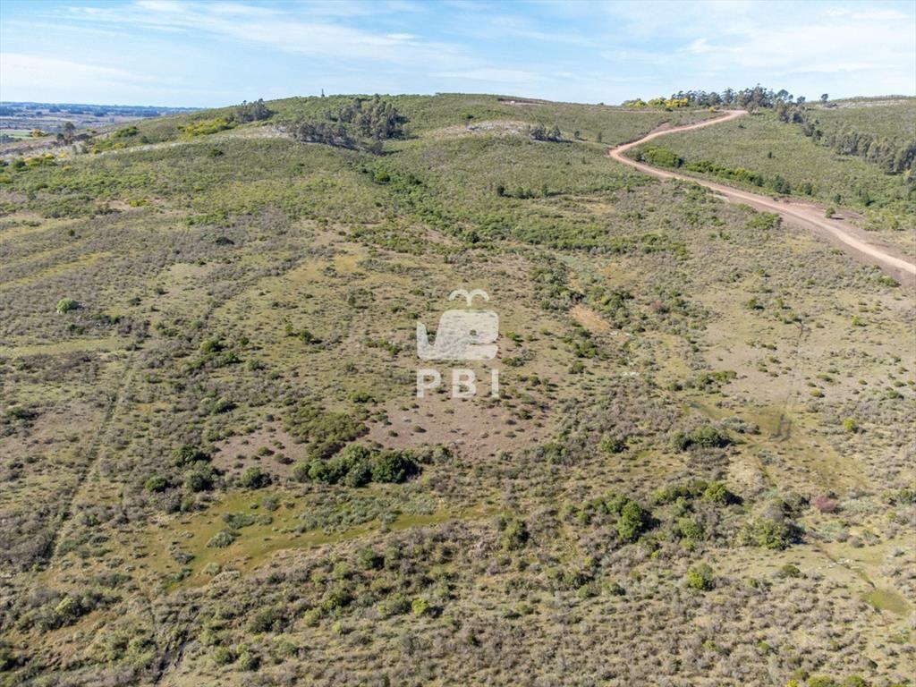 Chacra de 15,7 Has en Ruta 9, Abra de Perdomo - :