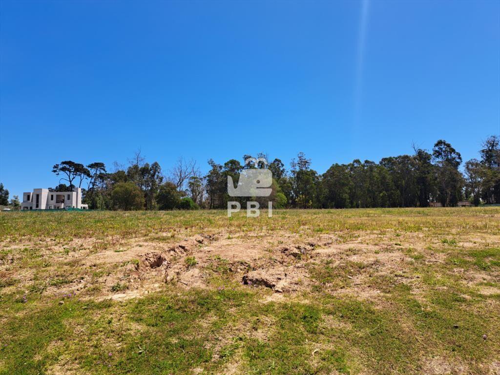 Invertí en Punta del Este: lote de 700m en -