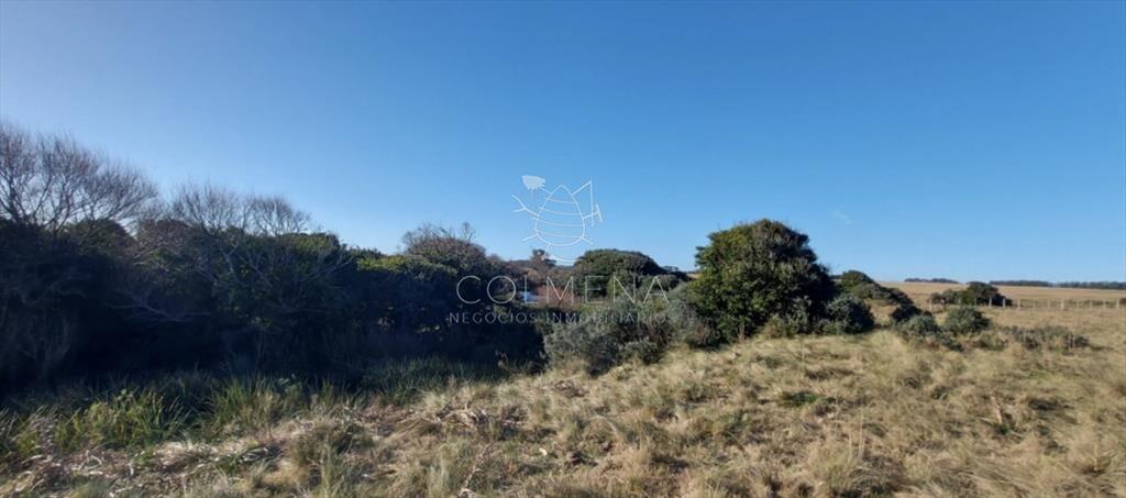 Campo en Las Garzas frente ruta y cerca del mar.