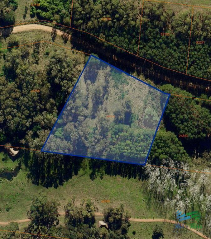 En venta chacra de 1 hectarea en Laguna del Punta