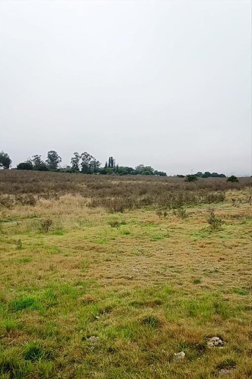 Campo 29,5 Hás. A17 Km de San José de Mayo
