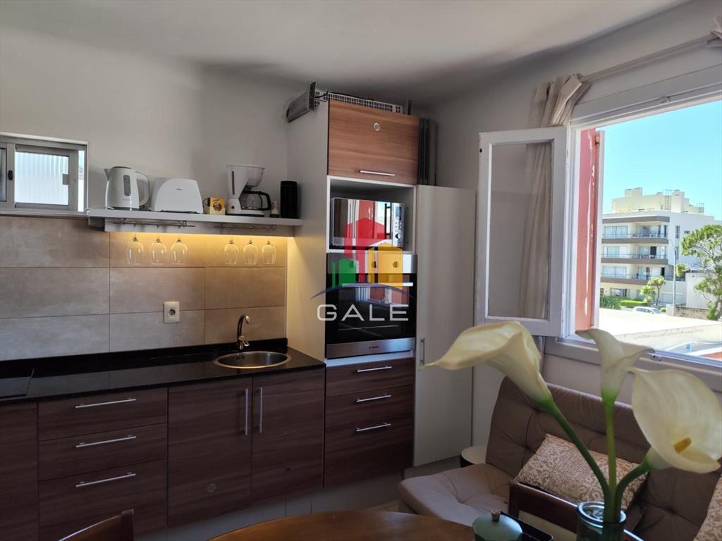 Apartamento en venta, 1 dormitorio, peninsula