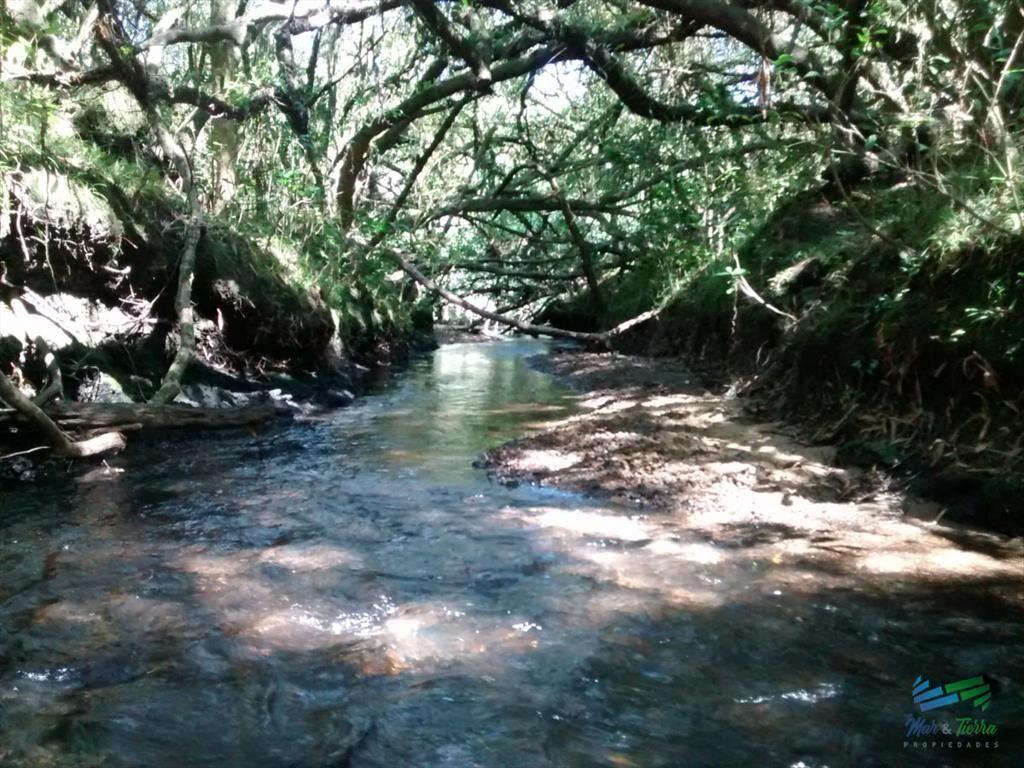 Lindo campo ganadero de 78 Has muy bien ubicado,