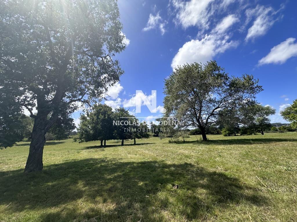 Vende Terreno ideal para desarrollo de barrio del