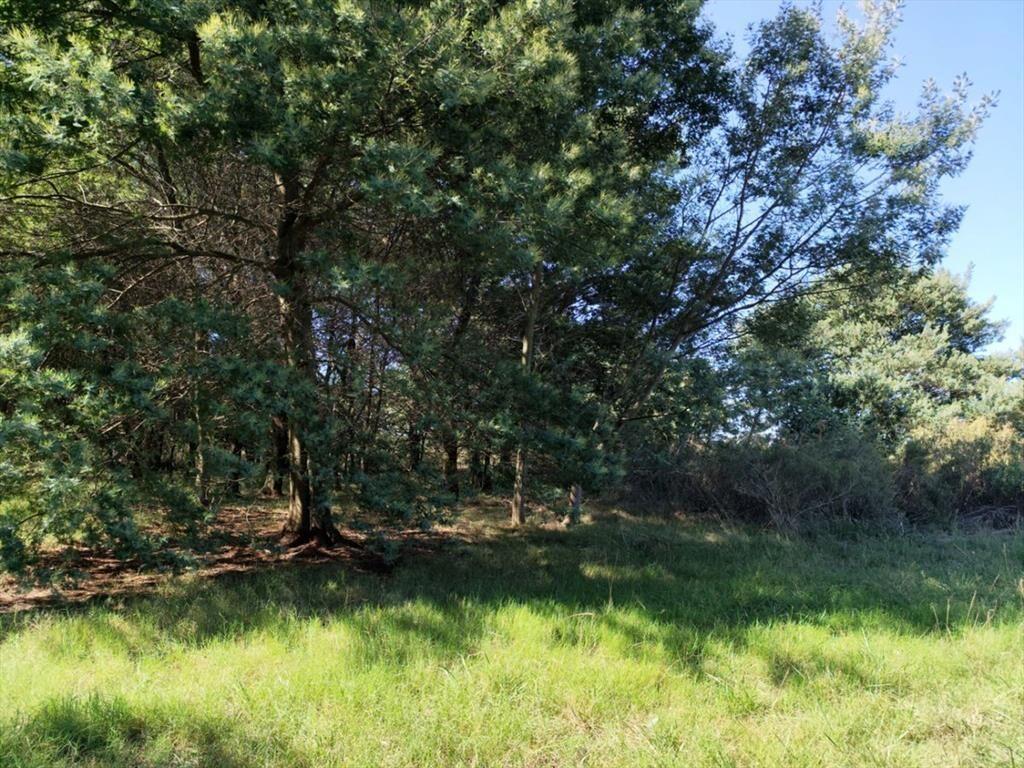 Terreno de Una Hectárea en El Ensueño - Los Aromos