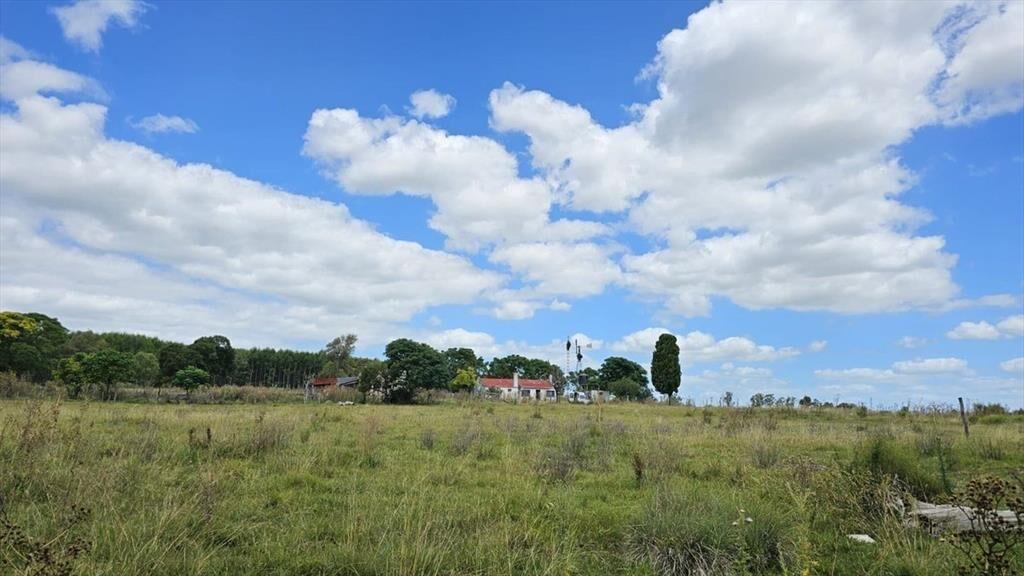 CAMPO EN VENTA- 948 HECTAREAS 6430m2
