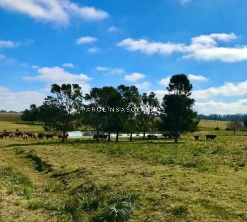 CHACRA 5 HECTAREAS EN HARAS DE MEDELLIN, PUNTA