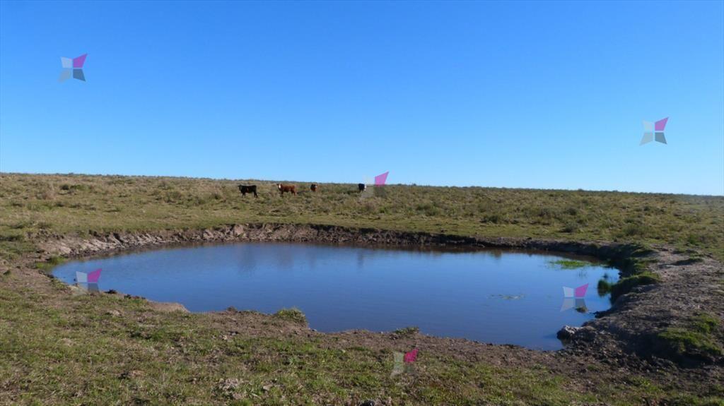 VENTA DE CHACRA EN RUTA 39 SAN CARLOS