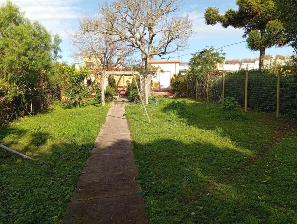Casa en el Centro de San Carlos