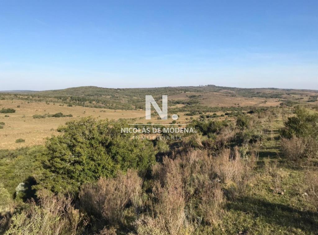 Campo ganadero en venta.