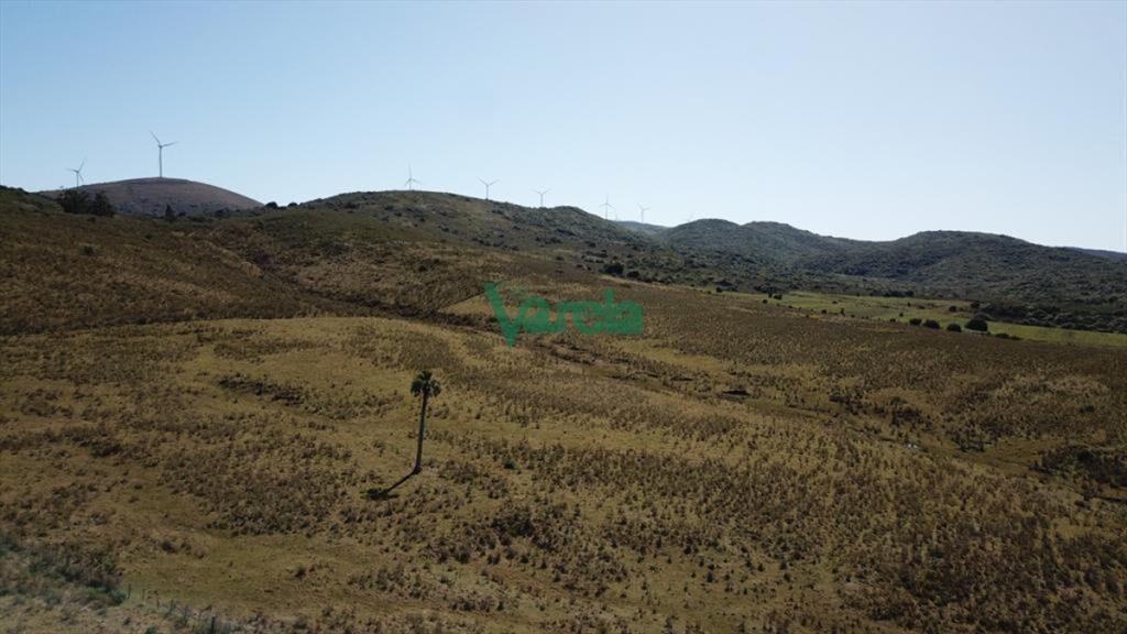 Campo de 86 has a la altura del km 58 Ruta 39