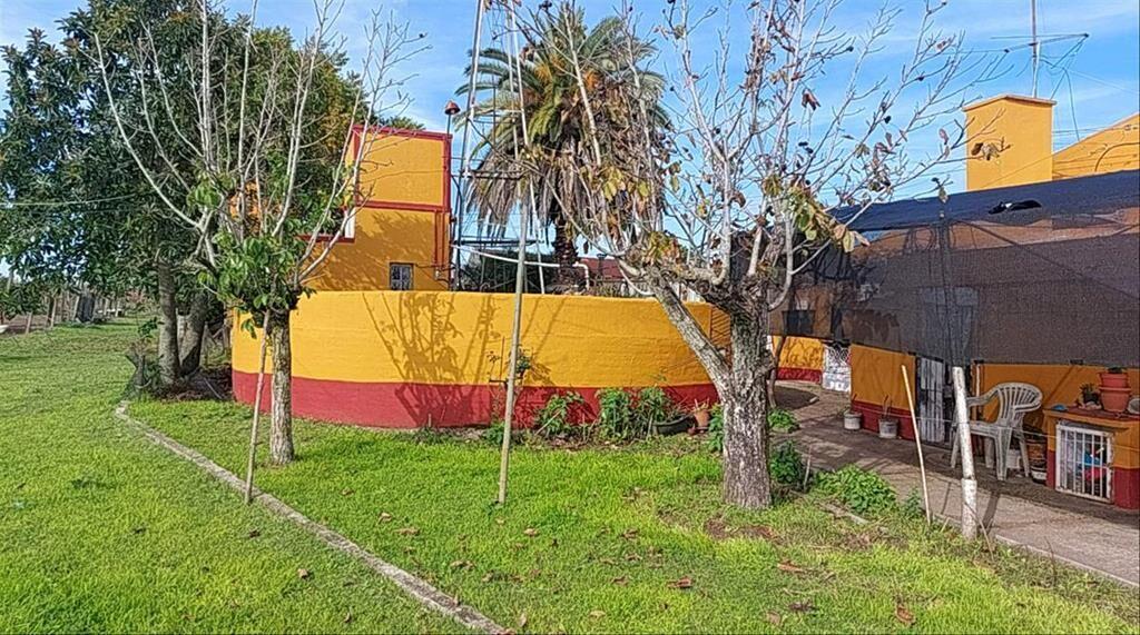 Venta de Chacra productiva en Melilla casas viñedos montes