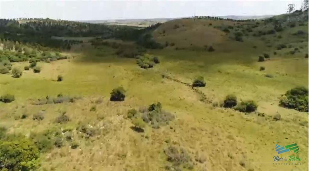 Campo Ganadero y Recreo en Garzón 116 Has con
