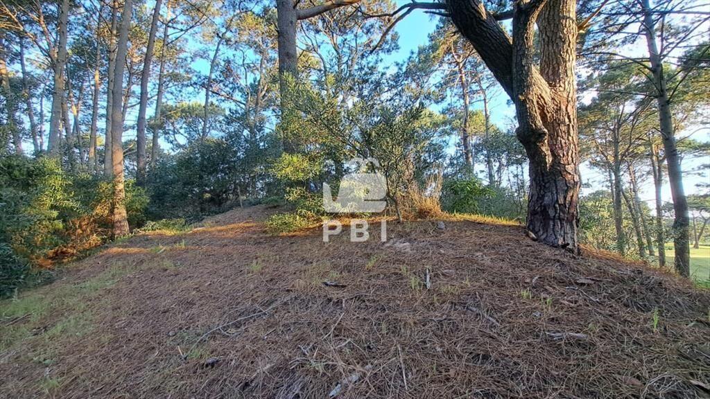 Venta de lote en Club del Lago - Ref : PBI2841