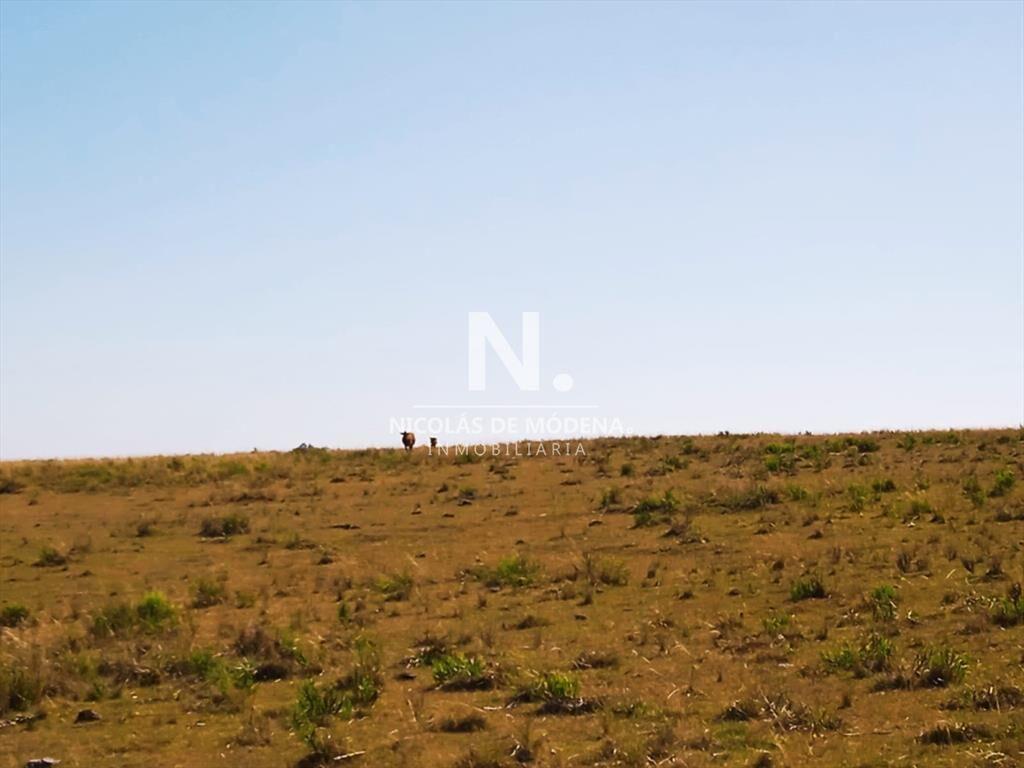 Campo en Jose Ignacio,