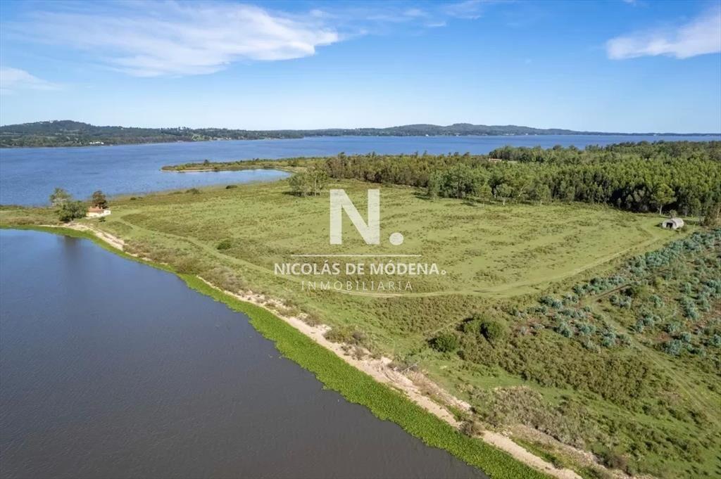 Chacra sobre Laguna del Sauce con costa, de 18 HA